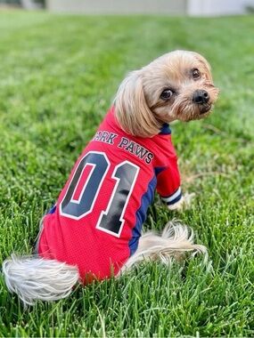 Spark Paws Dog Football Jersey